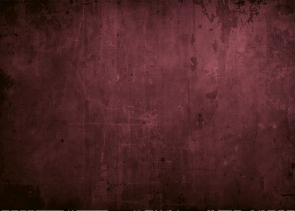 Nähmaschine - Softshellpaneel Tasche